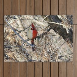 Half-sider Cardinal, half white, half red gynandromorph songbird portrait Outdoor Rug