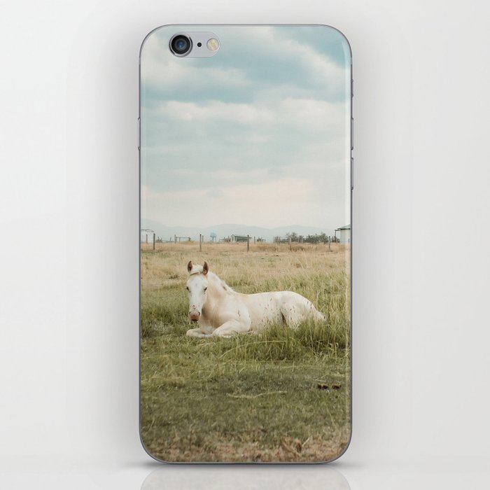 White Horses, Montana iPhone Skin