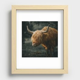 Scottish Highland Cow | Scottish Cattle | Cute Cow | Cute Cattle 04 Recessed Framed Print
