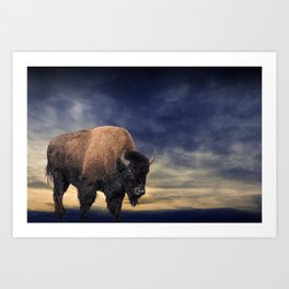 American Buffalo against an Evening Sky Art Print
