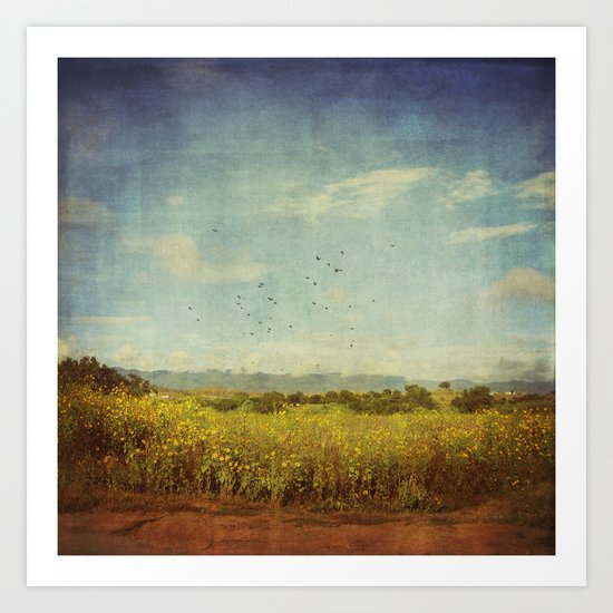 Flower Field Art Print