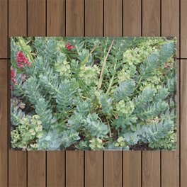 Patch of Green Succulents Summer Outdoor Rug
