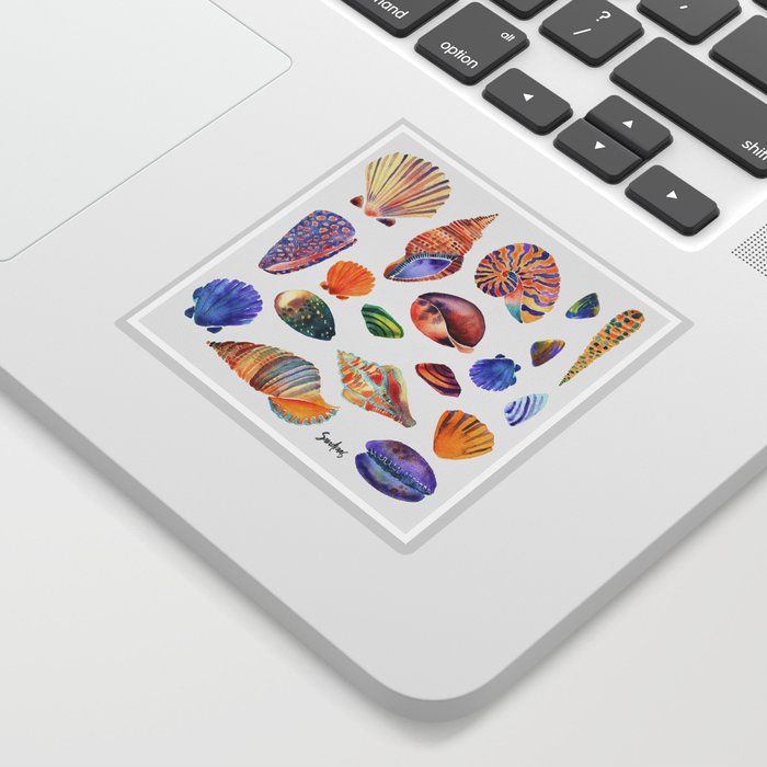 Watercolor Shells Sticker