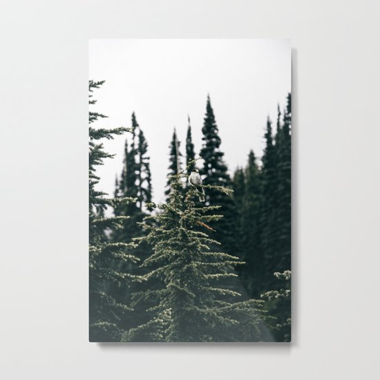 Grey Jay in The Trees Metal Print