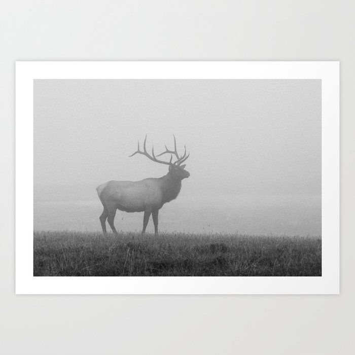 Wall Art Deer in the fog Art Print - Wall Art, Art Prints & Canvas Artwork