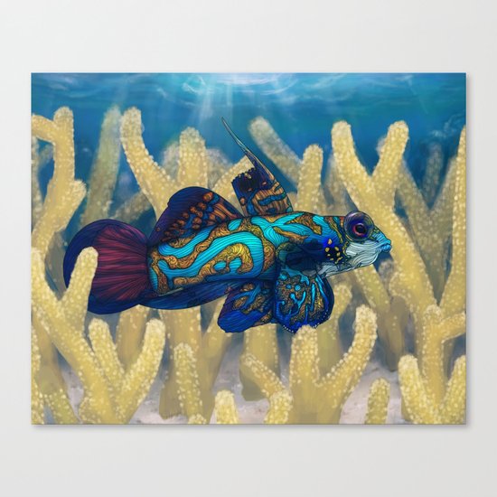 Mandarinfish Canvas Print