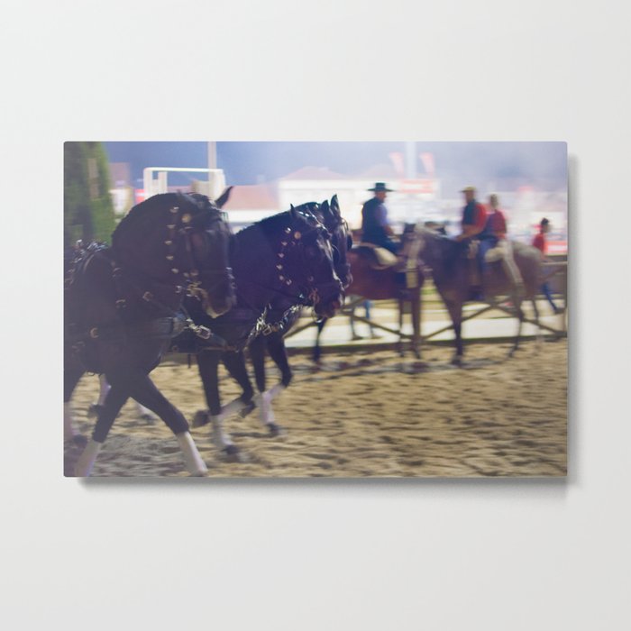 Feira da Golega 2015 3 horses 35 mm Metal Print