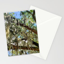 New Orleans Spanish Moss Stationery Cards