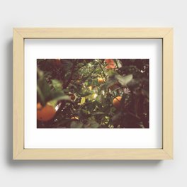Orange Tree Forest Recessed Framed Print