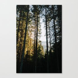 Trees in the Tatra Mountains, Slovakia Landscape || Travel Photography Canvas Print