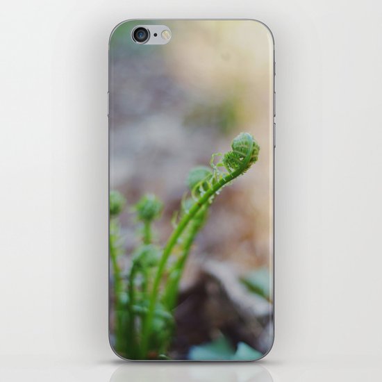 Fiddleheads iPhone & iPod Skin