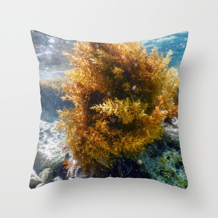 Forest of Seaweed, Seaweed Underwater, Underwater Scene Throw Pillow