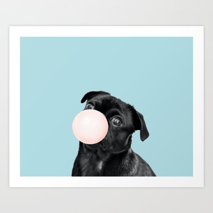 Bubble gum pug in blue Art Print