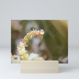 Sacred Garden Collection~Luna Uno Mini Art Print