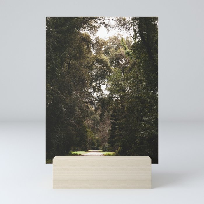 The Woods at Caserta  |  Travel Photography Mini Art Print