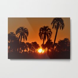 Sunset en Palmar Metal Print | Sunsetskyargentinasunweatherpalmtreesnaturelandscape, Photo, Digital, Color 