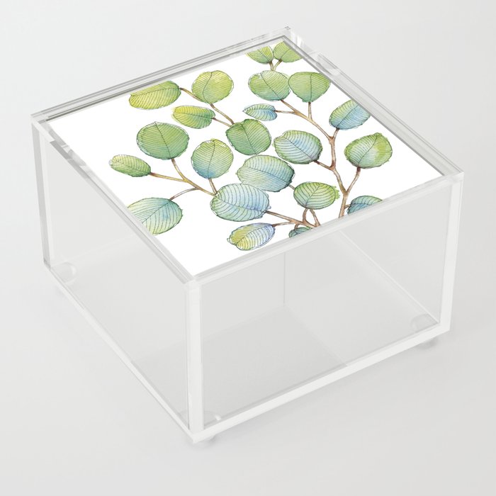 Eucalyptus leaves Acrylic Box
