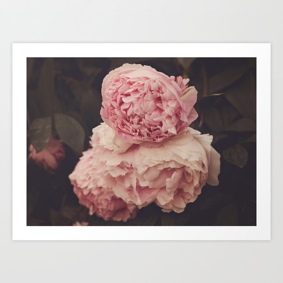Pink Peony Trio Art Print