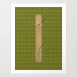 Cricket Pitch  Art Print