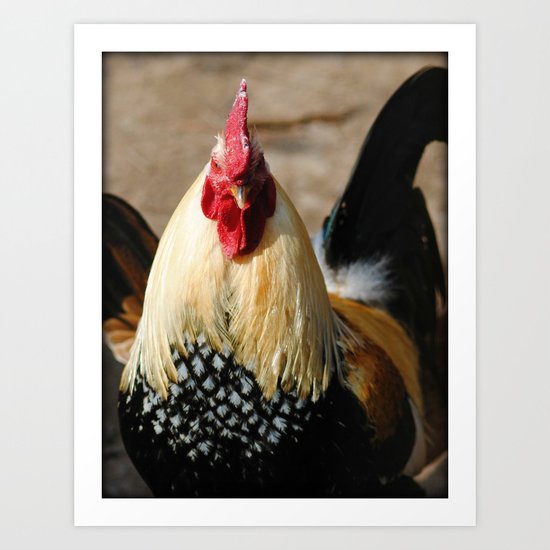 Ready for My Close-up Art Print