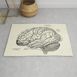 Vintage medical illustration of the human brain Area & Throw Rug