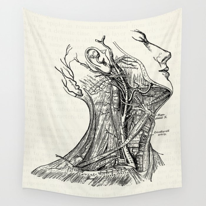 Arteries of the Neck Vintage Medical Illustration Wall Tapestry by Oona Lee  Vintage | Society6
