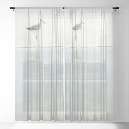 Reflecting Sandpiper Sheer Curtain