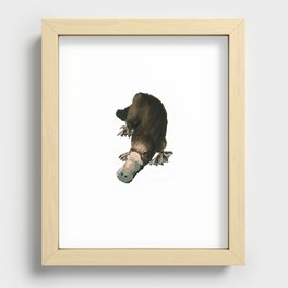 Platypus Recessed Framed Print