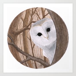 curious owl Art Print