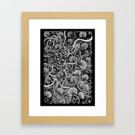 Flowers Framed Art Print