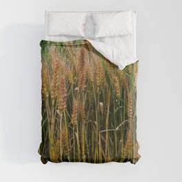 Summer wheat field in the countryside Duvet Cover