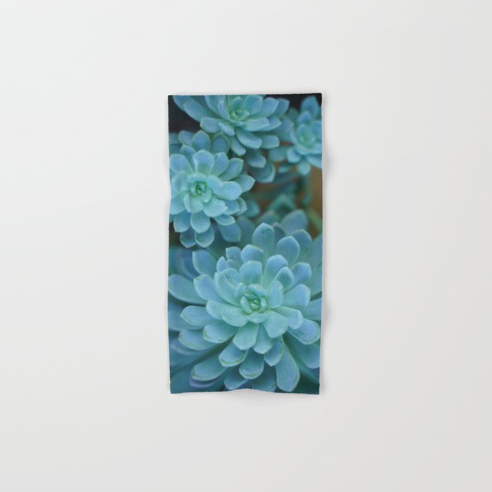 Succulent _001 Hand & Bath Towel