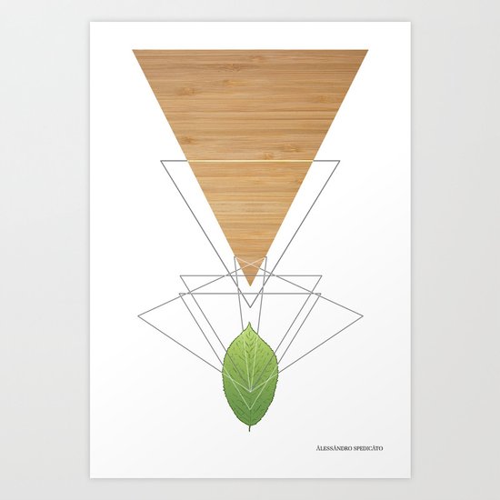 geometric leaf drawing