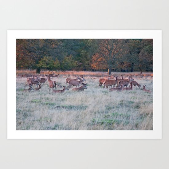 Resting Art Print