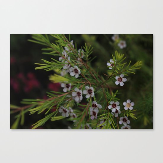 Something to Believe in Canvas Print