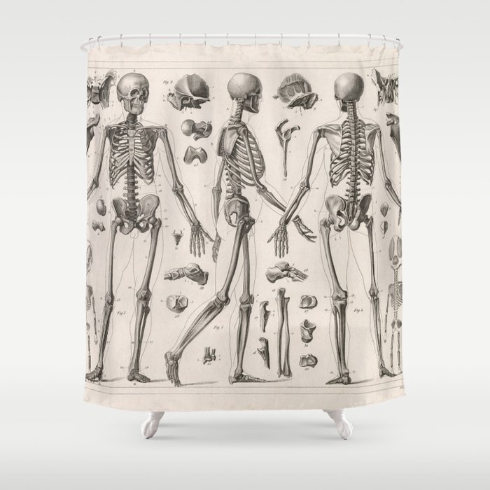 1857 Diagram Anatomy including Skeletons Shower Curtain