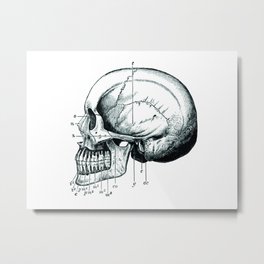 Skull 3 Metal Print | Calavera, Huesos, Esqueleto, Skeleton, Skull, Painting, Bones 