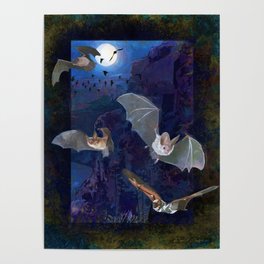 Western Bats Poster
