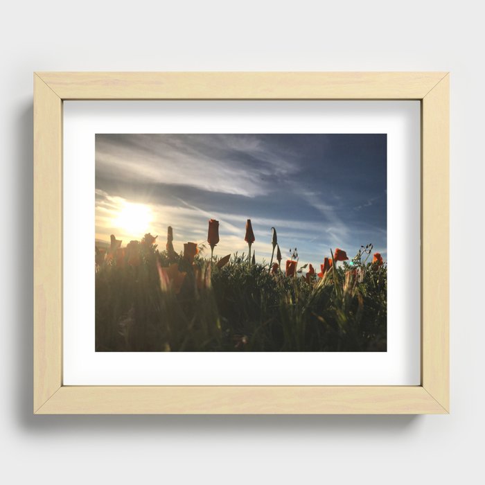 California Poppies At Sunset # 1 Recessed Framed Print