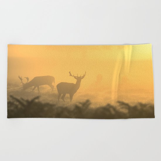 In the Clear Beach Towel