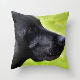 Black  Labrador Throw Pillow