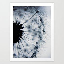 Dandelion Dark Blue Flower - Elegant Floral Art Print