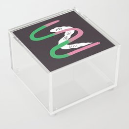 Supportive Snake Acrylic Box