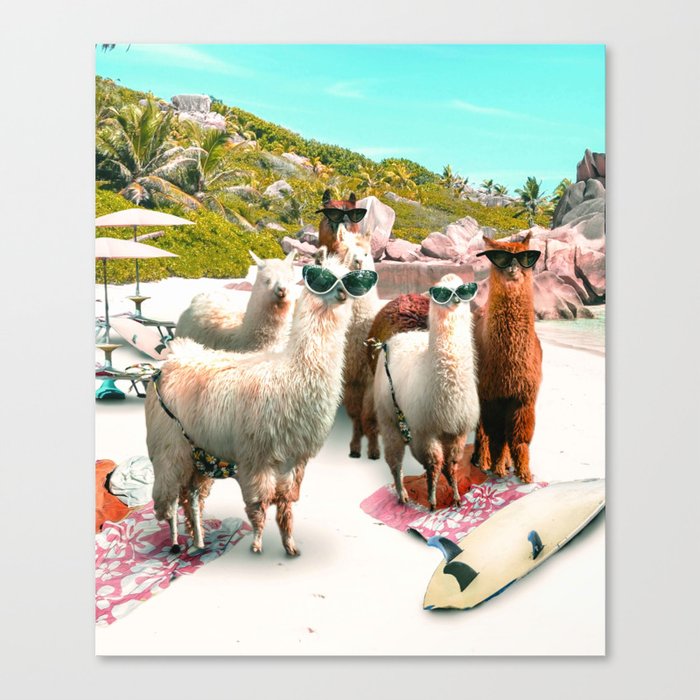 Funny Llama Beach Canvas Print