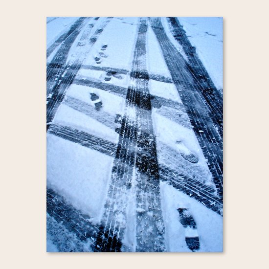 Winter Path Canvas Print