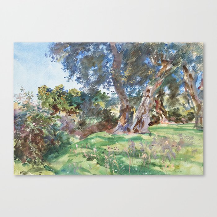 Olive Trees, Corfu (1909) by John Singer Sargent Canvas Print
