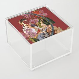 Museum Acrylic Box