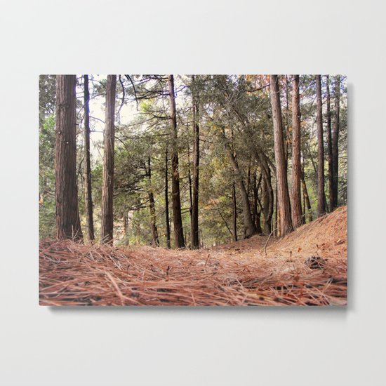 From the Forest Floor Metal Print