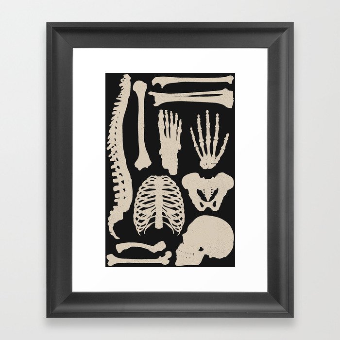 Osteology Framed Art Print