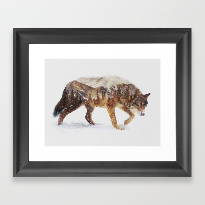Arctic Wolf Framed Art Print